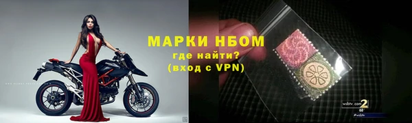 стаф Верея