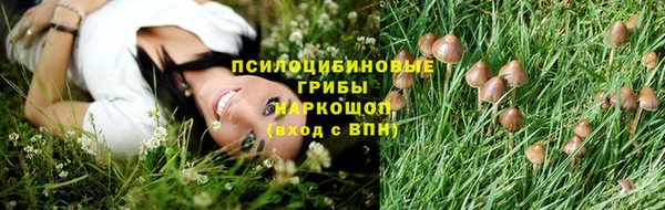 стаф Верея