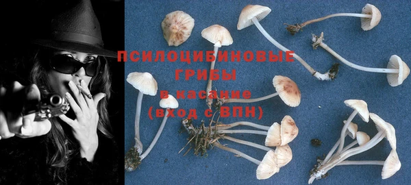 экстази Вяземский