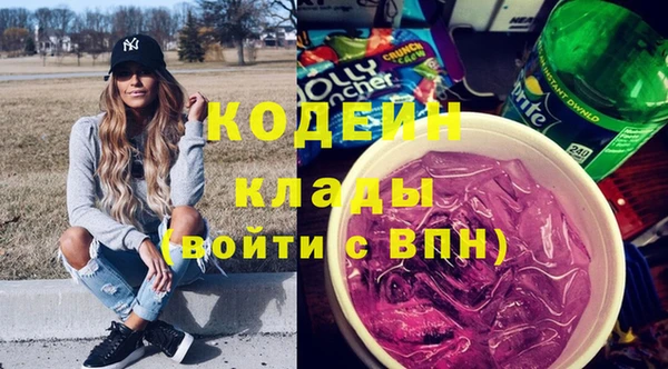 стаф Верея