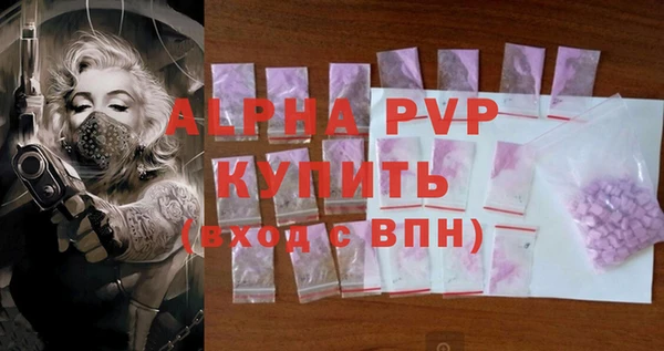 стаф Верея