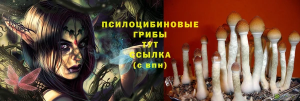 прущая мука Переславль-Залесский